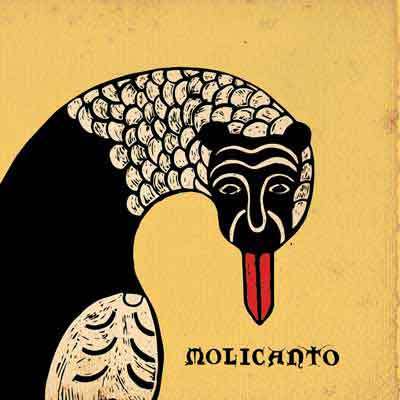 molicanto
