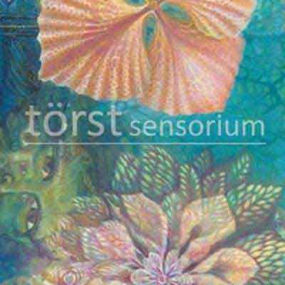 sensorium